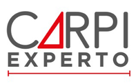 Logo_CarpiExperto.png?1614013767171